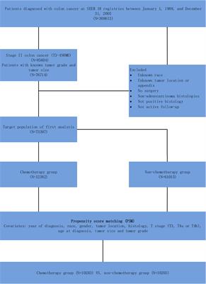 Associations of P Score With Real-World Survival Improvement Offered by Adjuvant Chemotherapy in Stage II Colon Cancer: A Large Population-Based Longitudinal Cohort Study